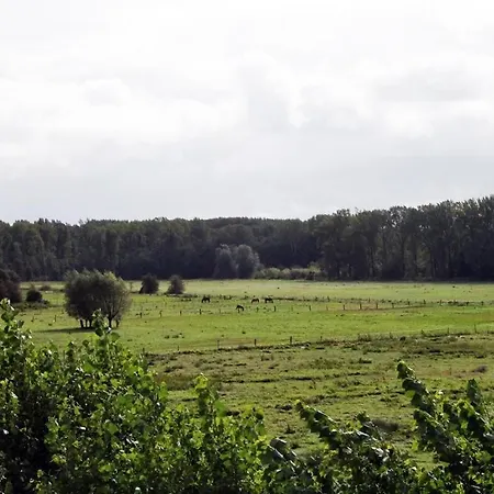 Haffblick Whg Ha33 Apartment