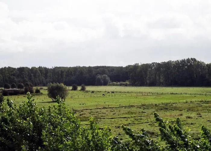 Haffblick Whg Ha33 Apartmán